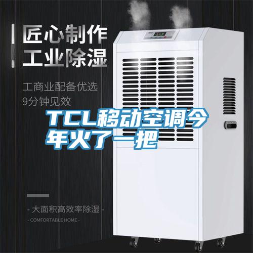 TCL移动空调今年火了一把