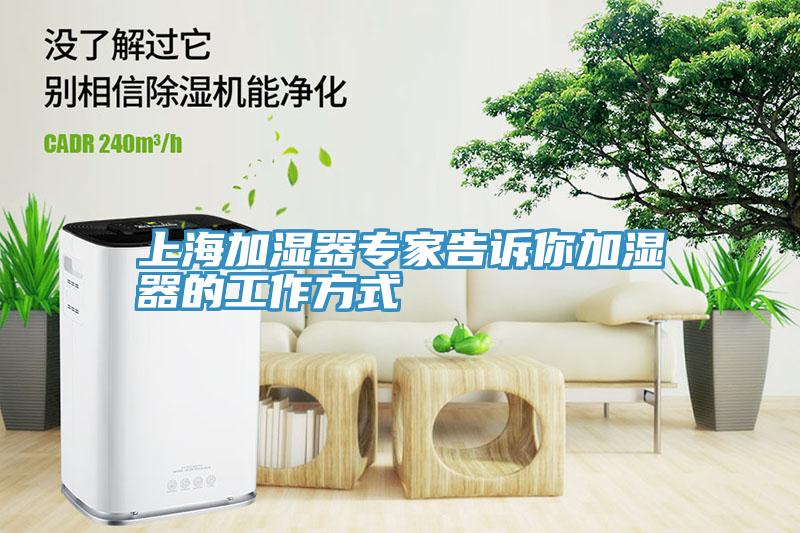 上海加湿器专家告诉你加湿器的工作方式