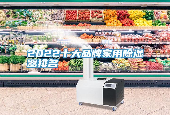 2022十大品牌家用除湿器排名