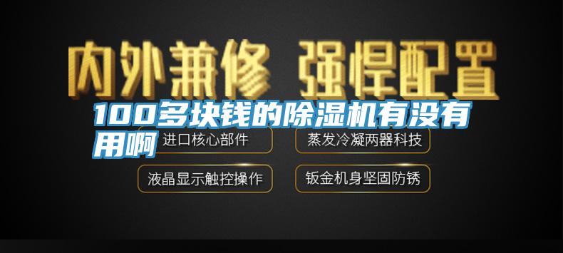 100多块钱的除湿机有没有用啊