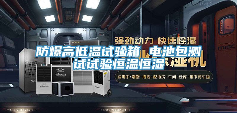 防爆高低温试验箱 电池包测试试验恒温恒湿