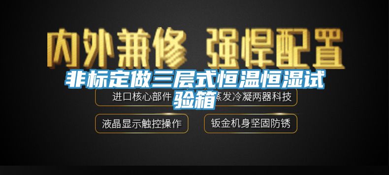 非标定做三层式恒温恒湿试验箱