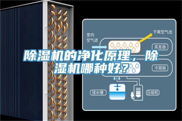 除濕機(jī)的凈化原理，除濕機(jī)哪種好？