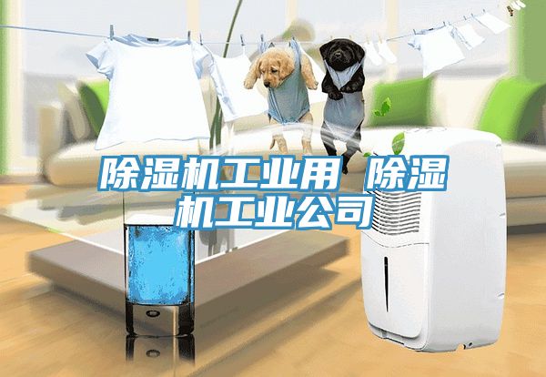 除濕機工業用 除濕機工業公司