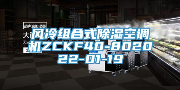 风冷组合式除湿空调机ZCKF40-802022-01-19