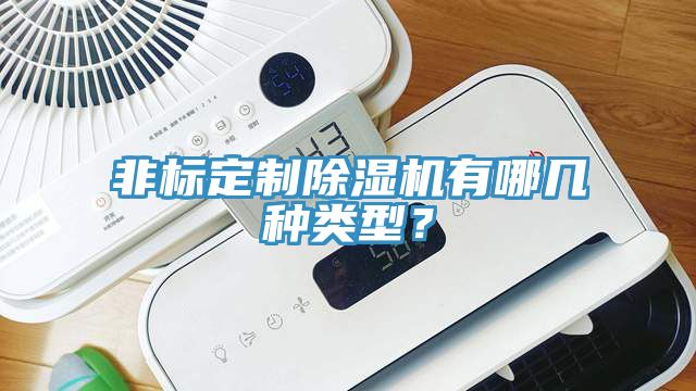 非标定制除湿机有哪几种类型？