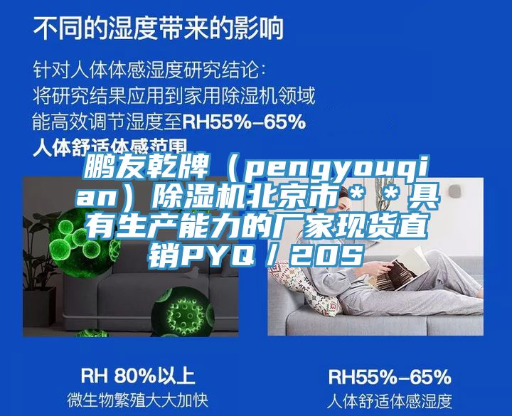 鹏友乾牌（pengyouqian）除湿机北京市＊＊具有生产能力的厂家现货直销PYQ／20S