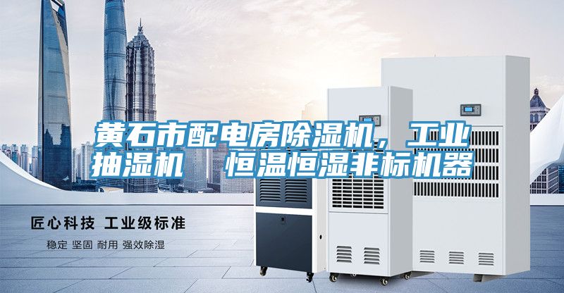 黃石市配電房除濕機，工業(yè)抽濕機  恒溫恒濕非標機器