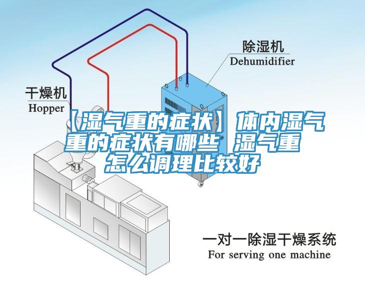 【湿气重的症状】体内湿气重的症状有哪些 湿气重怎么调理比较好