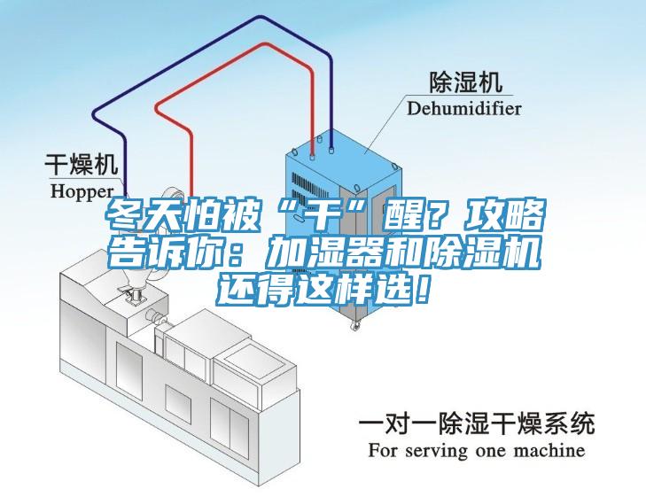 冬天怕被“干”醒？攻略告诉你：加湿器和除湿机还得这样选！