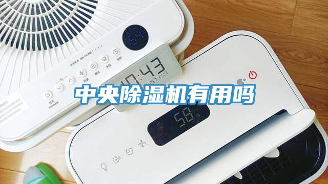 中央除濕機有用嗎