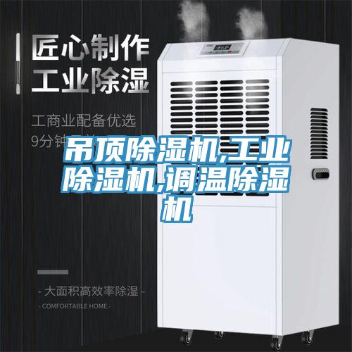 吊頂除濕機,工業除濕機,調溫除濕機