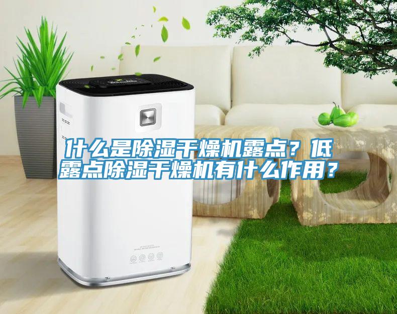 什么是除濕干燥機露點？低露點除濕干燥機有什么作用？