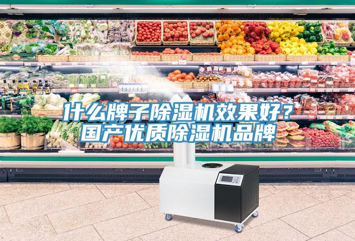 什么牌子除濕機效果好？國產優質除濕機品牌